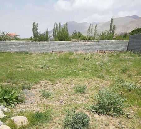 فروش زمین مسکونی 250 متر در بلوار آزادگان در گروه خرید و فروش املاک در مازندران در شیپور-عکس1