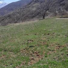 زمین مسکونی 220 متر در منقطقه‌نمارستاق