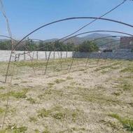 فروش 500 متر سازه گلخانه سوله خیار
