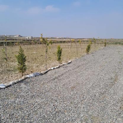 فروش زمین 200 متر در دشت سر در گروه خرید و فروش املاک در مازندران در شیپور-عکس1