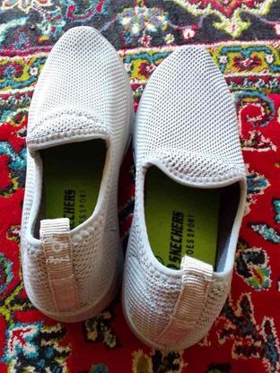 کفش سایز37 در گروه خرید و فروش لوازم شخصی در مازندران در شیپور-عکس1