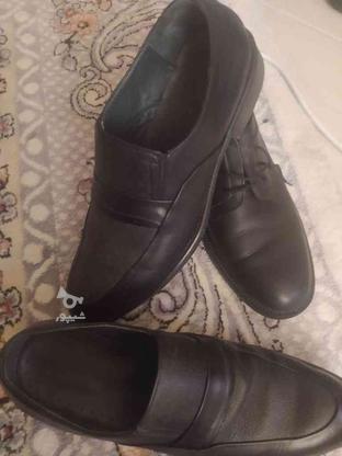 کفش مردانه چرم به شرط یه بار پوش سایزه 43و42 در گروه خرید و فروش لوازم شخصی در مرکزی در شیپور-عکس1