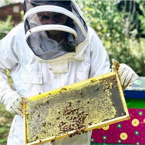 بسته آموزشی یا دوره آموزشی حضوری پرورش زنبورعسل