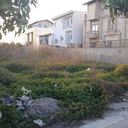 فروش زمین مسکونی 1000 متر در سیاهرودسر در گروه خرید و فروش املاک در مازندران در شیپور-عکس1
