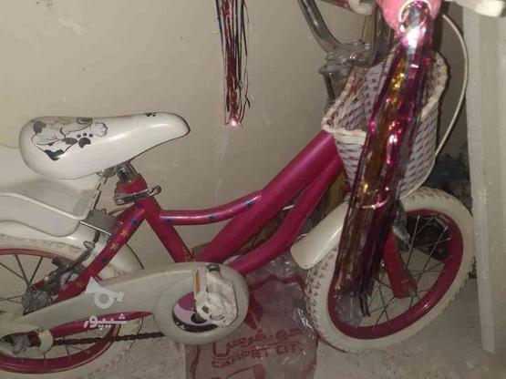 دوچرخه بچگانه 16 در گروه خرید و فروش ورزش فرهنگ فراغت در تهران در شیپور-عکس1