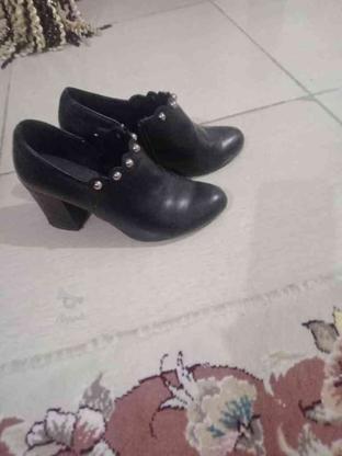 کفش مجلسی زنانه در گروه خرید و فروش لوازم شخصی در چهارمحال و بختیاری در شیپور-عکس1