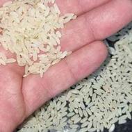 برنج کامفیروزی ( تنگ براق )