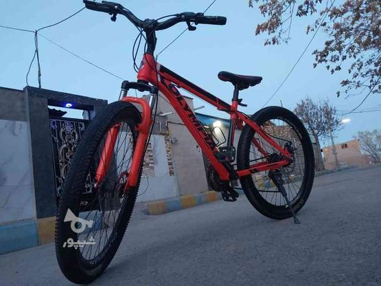 دوچرخه المپیا در گروه خرید و فروش ورزش فرهنگ فراغت در البرز در شیپور-عکس1