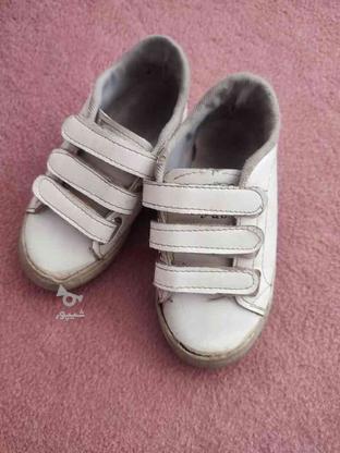 کفش بچگانه در گروه خرید و فروش لوازم شخصی در زنجان در شیپور-عکس1