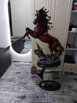 مجسمه ی اسب پلی استر در گروه خرید و فروش لوازم خانگی در آذربایجان شرقی در شیپور-عکس1