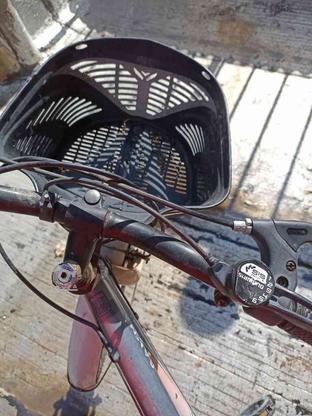 دوچرخه کم استفاده شده در گروه خرید و فروش ورزش فرهنگ فراغت در البرز در شیپور-عکس1