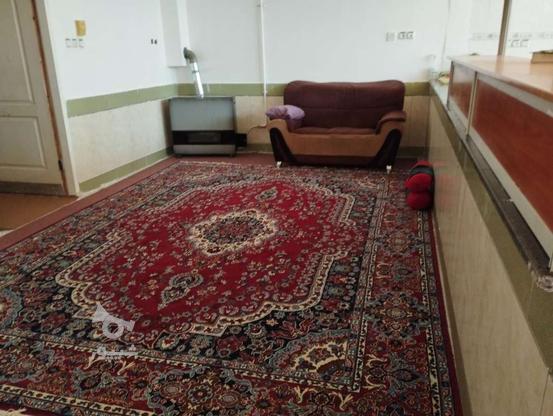 اتاق منزل سویت در بندر دیلم دیلم در گروه خرید و فروش املاک در بوشهر در شیپور-عکس1