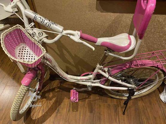 دوچرخه سایز 20 در گروه خرید و فروش ورزش فرهنگ فراغت در خراسان رضوی در شیپور-عکس1