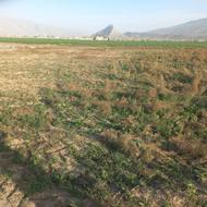 فروش زمین کشاورزی 1128 متر در فیروزآباد