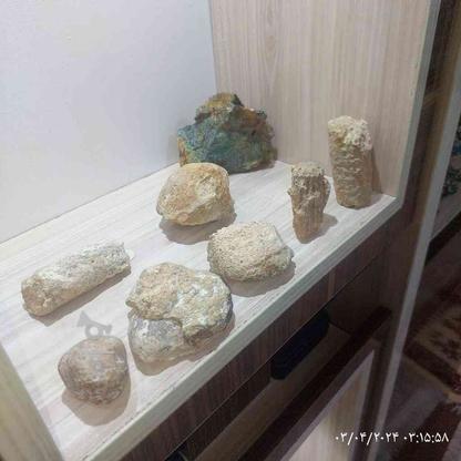 فسیل و سنگواره در گروه خرید و فروش ورزش فرهنگ فراغت در آذربایجان غربی در شیپور-عکس1
