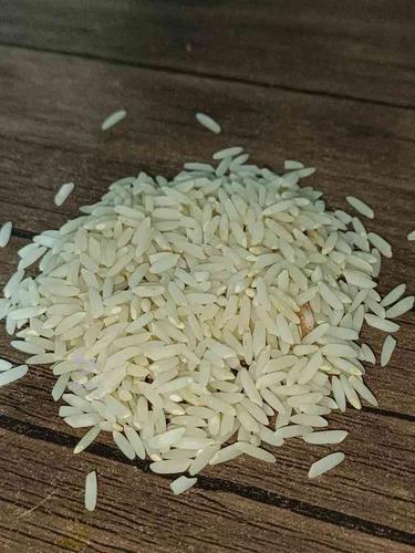 برنج دشت سیلاخور