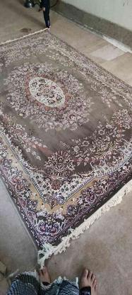 فرش 6متری سالم در گروه خرید و فروش لوازم خانگی در یزد در شیپور-عکس1