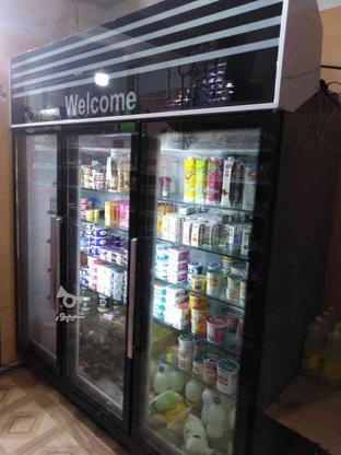 یخچال ایستاده 3 درب در گروه خرید و فروش صنعتی، اداری و تجاری در کرمان در شیپور-عکس1