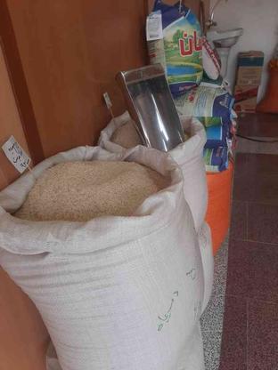 فروش تک وعمده برنج زیرقیمت بازاربه علت جمع آوری مغازه در گروه خرید و فروش خدمات و کسب و کار در قزوین در شیپور-عکس1