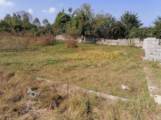 300 متر زمین باغات بهترین موقعیت لشتو در گروه خرید و فروش املاک در مازندران در شیپور-عکس1