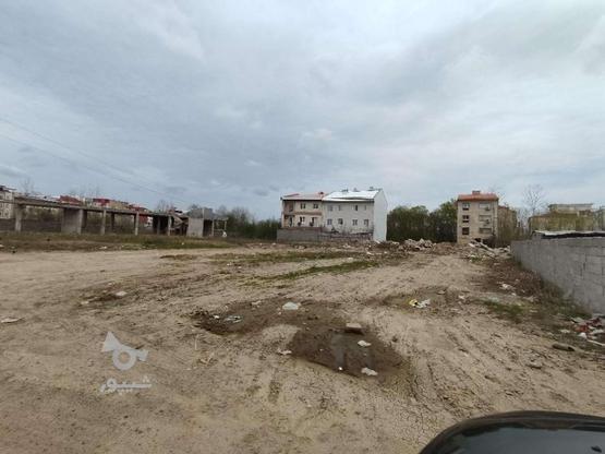 زمین مسکونی سندتک برگ قلیپور 4900 متر در گروه خرید و فروش املاک در گیلان در شیپور-عکس1