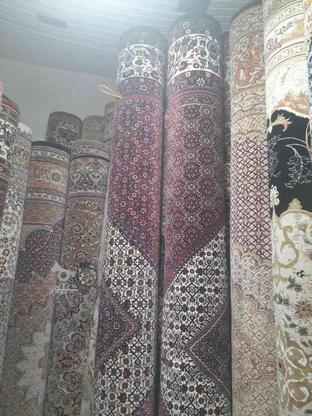 فرش ستاره درحد در گروه خرید و فروش لوازم خانگی در زنجان در شیپور-عکس1