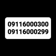 091116000299 - 09116000300