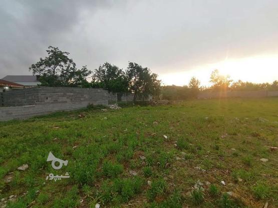 زمین باغی 260 متری در گروه خرید و فروش املاک در گیلان در شیپور-عکس1