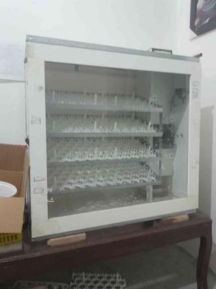 فروش دستگاه جوچه کشی اتوماتیک 336تای در گروه خرید و فروش صنعتی، اداری و تجاری در مازندران در شیپور-عکس1