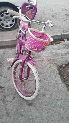 دوچرخه دخترانه در گروه خرید و فروش ورزش فرهنگ فراغت در فارس در شیپور-عکس1