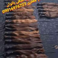خریدار اصلی موی طبیعی بانوان در مازندران