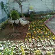 خدمات باغبانی در چیتگر