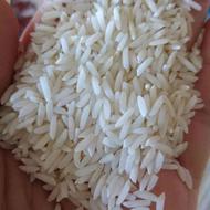 برنج طارم اصل محصول زمین خودمون