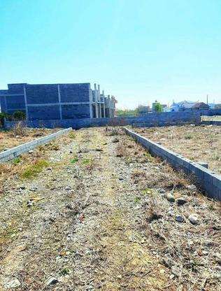 زمین سرمایه گذاری193مترخوشقواره سنددارسرخرود در گروه خرید و فروش املاک در مازندران در شیپور-عکس1