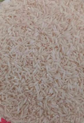 برنج خرید مستقیم از خود کشاورز در گروه خرید و فروش خدمات و کسب و کار در گیلان در شیپور-عکس1