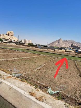 زمین کشاورزی 750متر در گروه خرید و فروش املاک در اصفهان در شیپور-عکس1