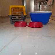 باکس گربه و سگ + ظرف اب و غذا + جای دستشویی