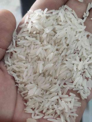 انواع برنج ایرانی در گروه خرید و فروش خدمات و کسب و کار در گلستان در شیپور-عکس1