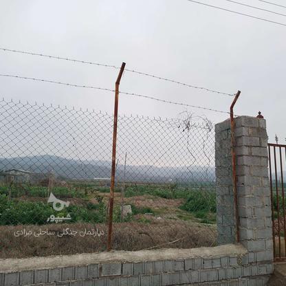 200 متری دیوار کشی شده سند دار شرایط اقساطی در گروه خرید و فروش املاک در مازندران در شیپور-عکس1