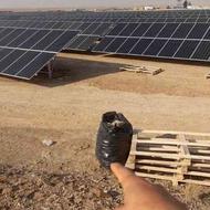 مجری اجرای برق خورشیدی برای باغات و سرمایه گذاری