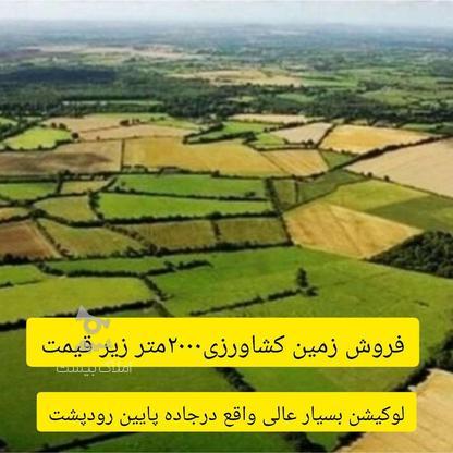 فروش زمین کشاورزی 2000 متر فاصله باشهر 5دقیقه در گروه خرید و فروش املاک در مازندران در شیپور-عکس1