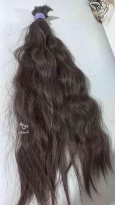 موی طبیعی 53 سانت در گروه خرید و فروش لوازم شخصی در البرز در شیپور-عکس1