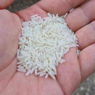 برنج طارم چین دوم