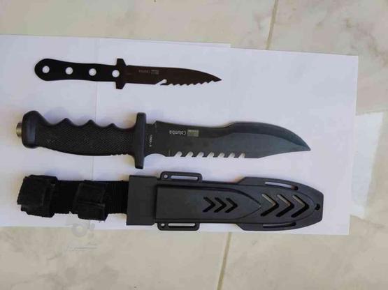 چاقو شکاری و تبر در گروه خرید و فروش ورزش فرهنگ فراغت در مازندران در شیپور-عکس1