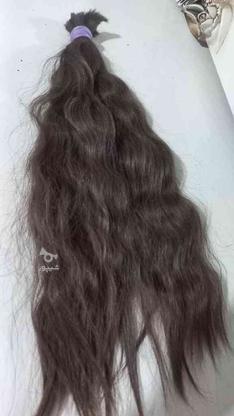 فروش موی طبیعی 53 سانت در گروه خرید و فروش لوازم شخصی در البرز در شیپور-عکس1