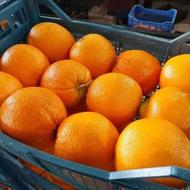 فروش 30 تن پرتقال درجه یک عباس آباد مازندران 