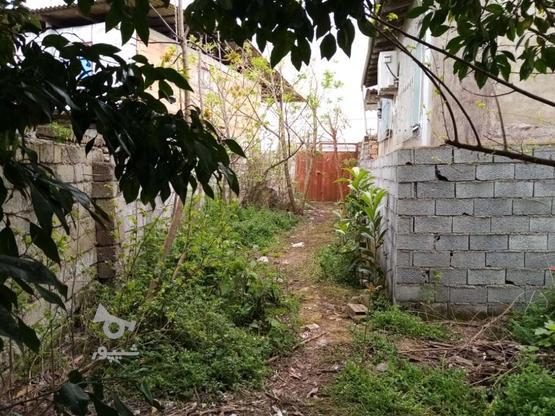 300 متر زمین و باغ واقع در دلاورکلا لاله آباد در گروه خرید و فروش املاک در مازندران در شیپور-عکس1