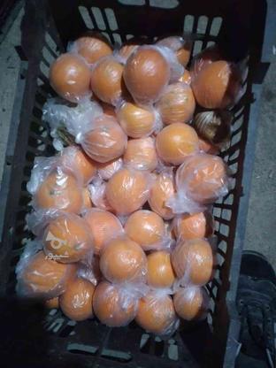 فروش پرتقال محلی شیرین وآبدارپلاستیک پیچیده در گروه خرید و فروش خدمات و کسب و کار در مازندران در شیپور-عکس1