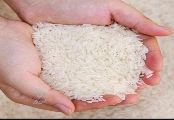 برنج دانه درشت هاشمی آستانه در گروه خرید و فروش خدمات و کسب و کار در گیلان در شیپور-عکس1