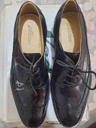 کفش مردانه نادر سایز 40 در گروه خرید و فروش لوازم شخصی در تهران در شیپور-عکس1